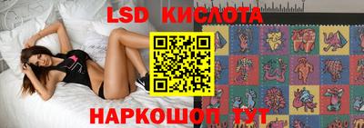 гидра Заволжье