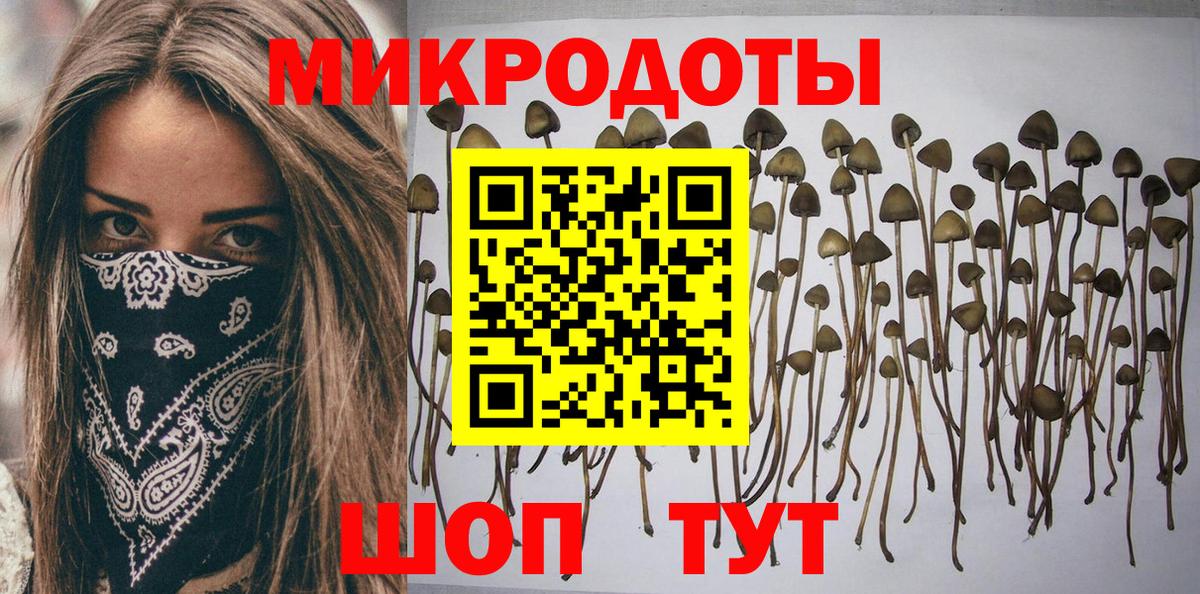 Галлюциногенные грибы Psilocybine cubensis Медногорск