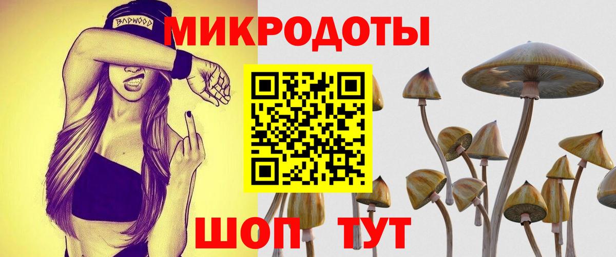 Галлюциногенные грибы MAGIC MUSHROOMS  Вход с VPN  Медногорск 